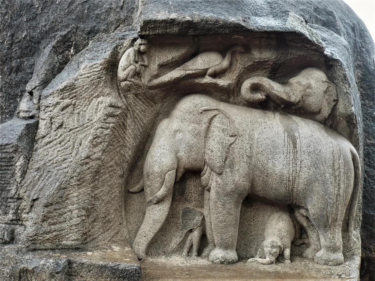 Animals With Cultural Significance – Root And Seed