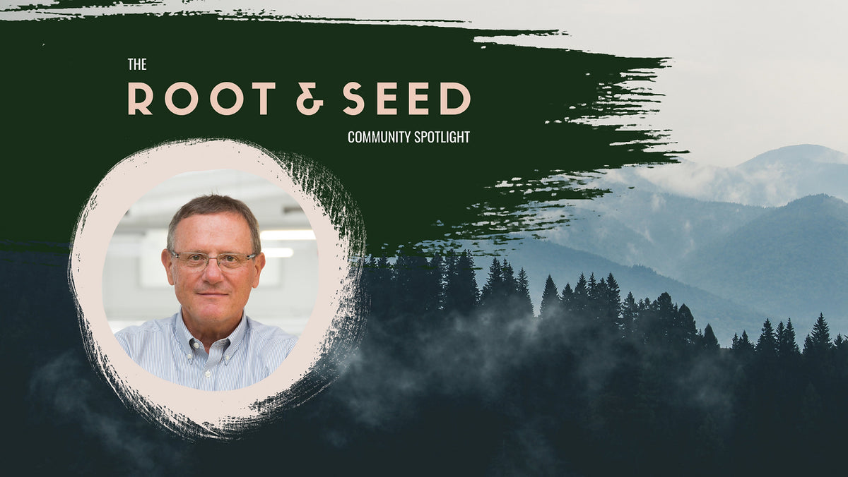 What Shapes Us – Root And Seed