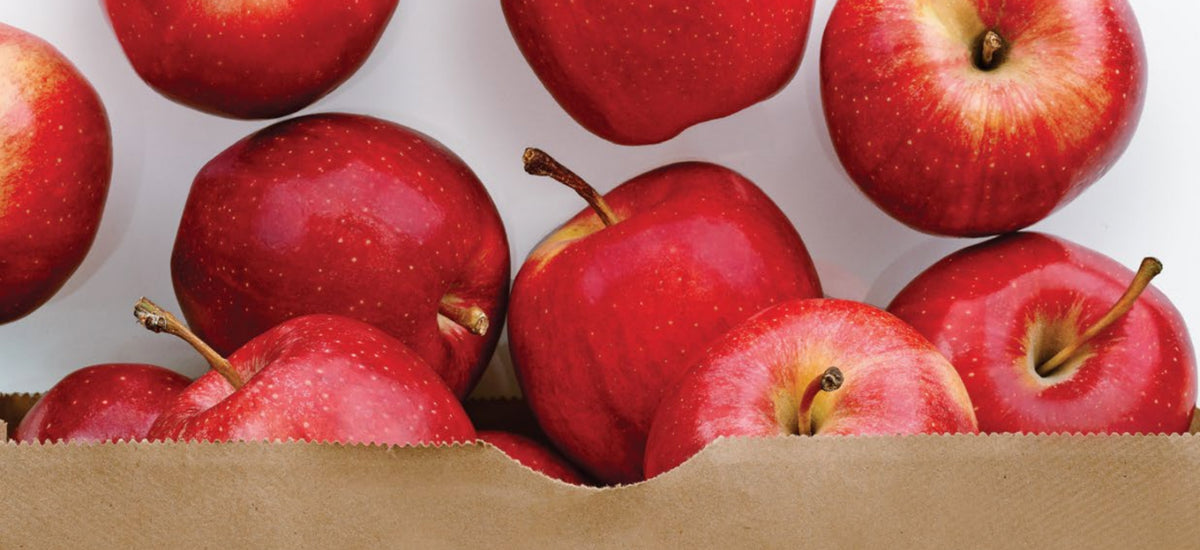 Getting to the Root of Identity – Root And Seed